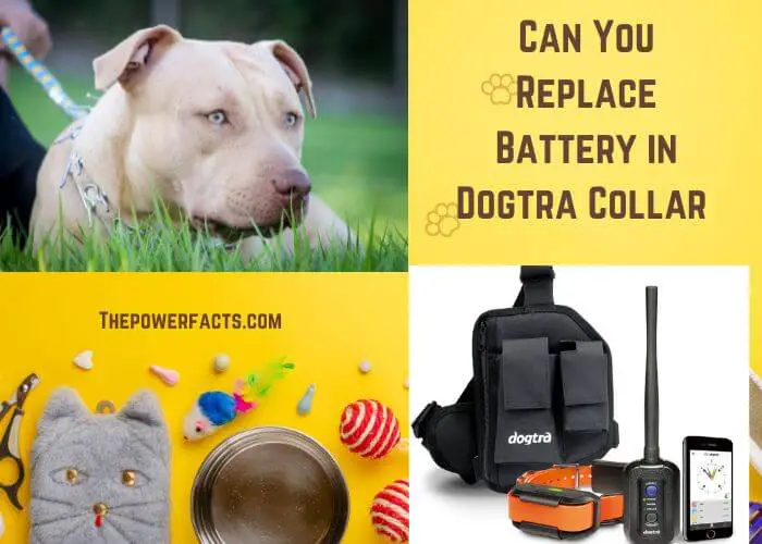 can you replace battery in dogtra collar