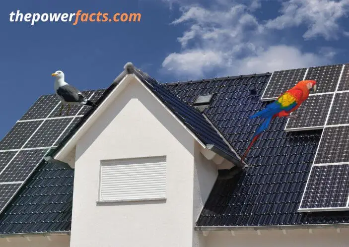 what color should a solar panel be