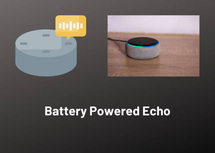 battery powered echo