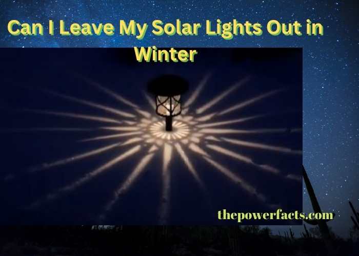 can i leave my solar lights out in winter
