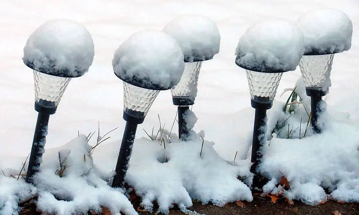 Can I Leave My Solar Lights Out in Winter? The Power Facts