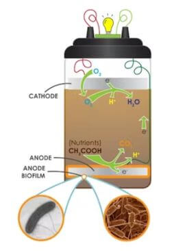 how does a battery create electricity
