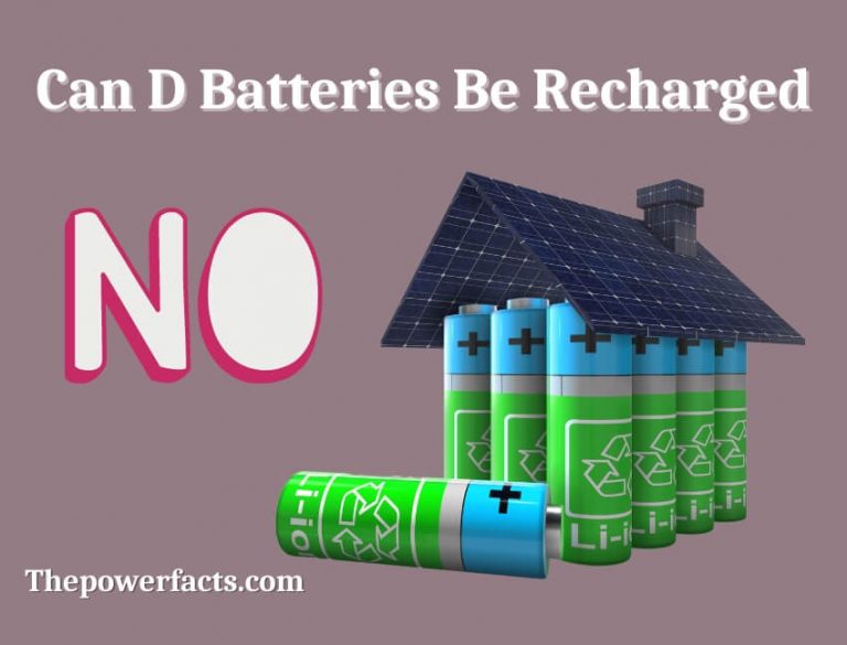 Can D Batteries Be Recharged? (Here is the Reply With Explanation