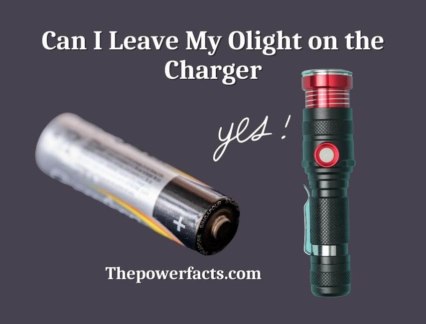 can i leave my olight on the charger