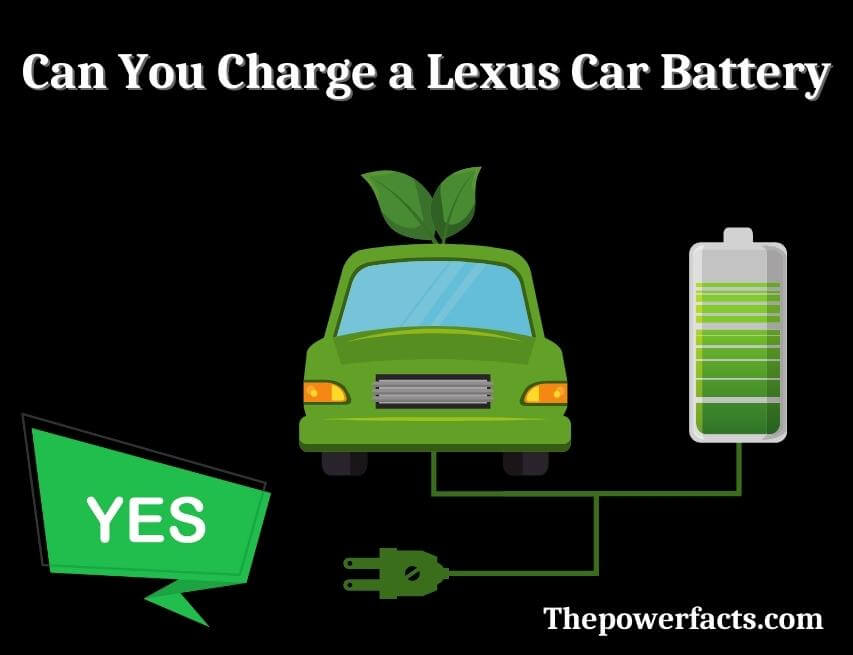 can you charge a lexus car battery