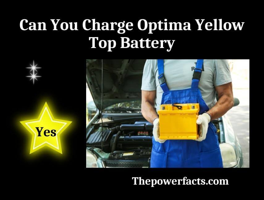 can you charge optima yellow top battery