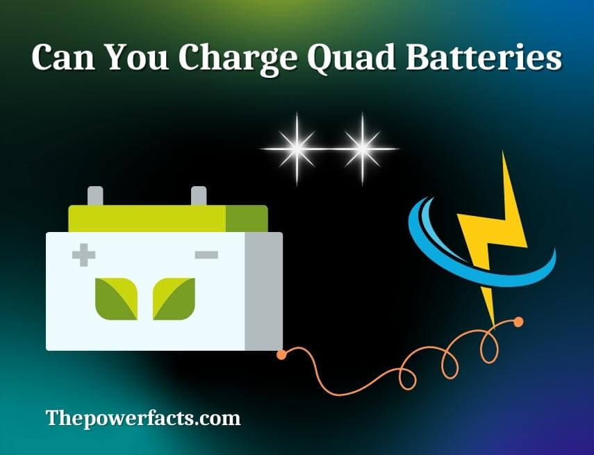 can you charge quad batteries