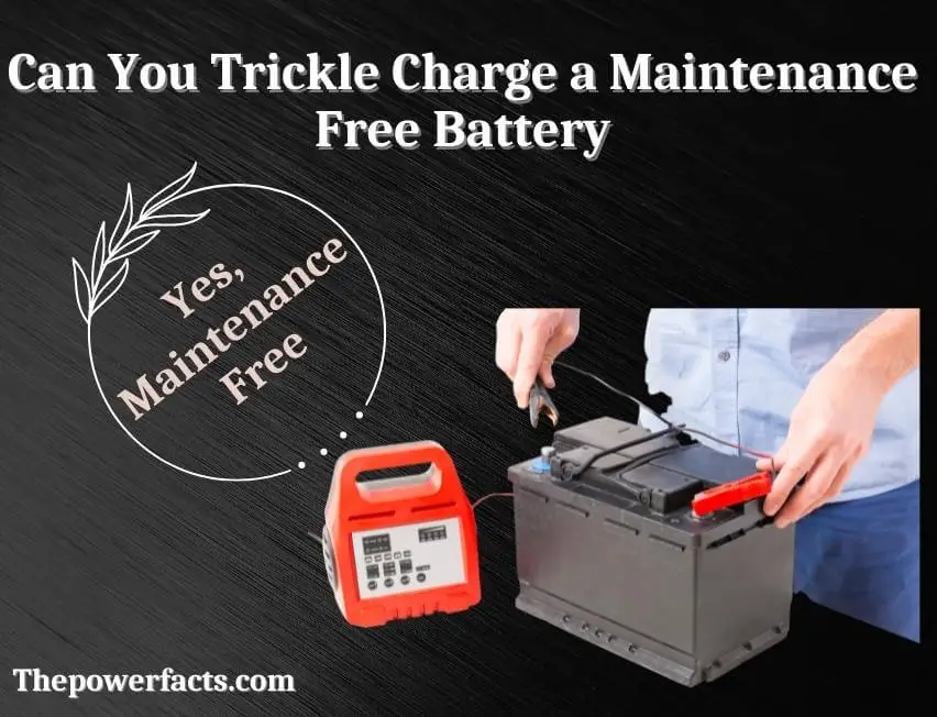 can you trickle charge a maintenance free battery