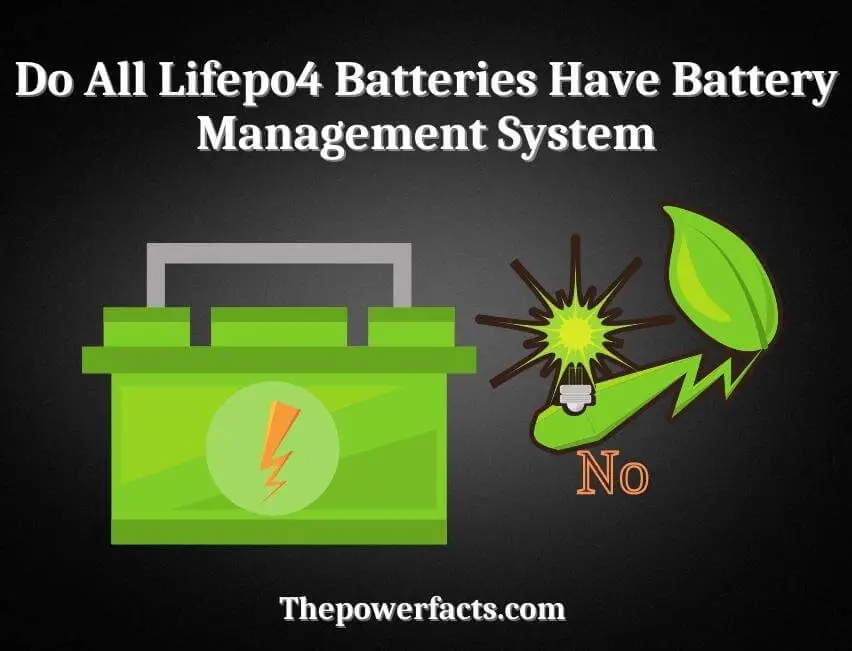 do all lifepo4 batteries have battery management system