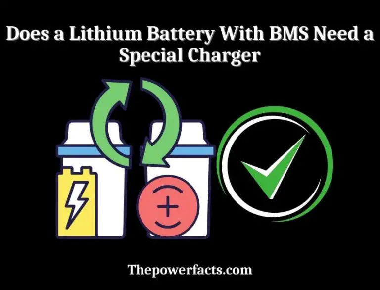 Does a Lithium Battery With BMS Need a Special Charger? The Power Facts