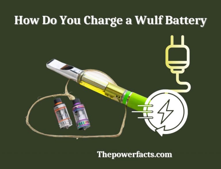 How Do You Charge a Wulf Battery? (Wulf Battery Instructions) The