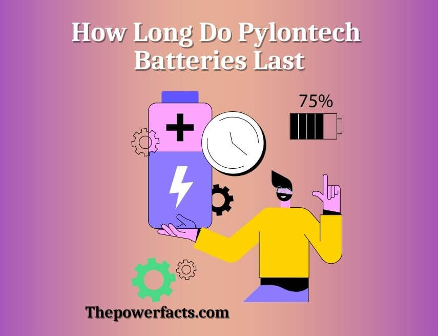 how long do pylontech batteries last