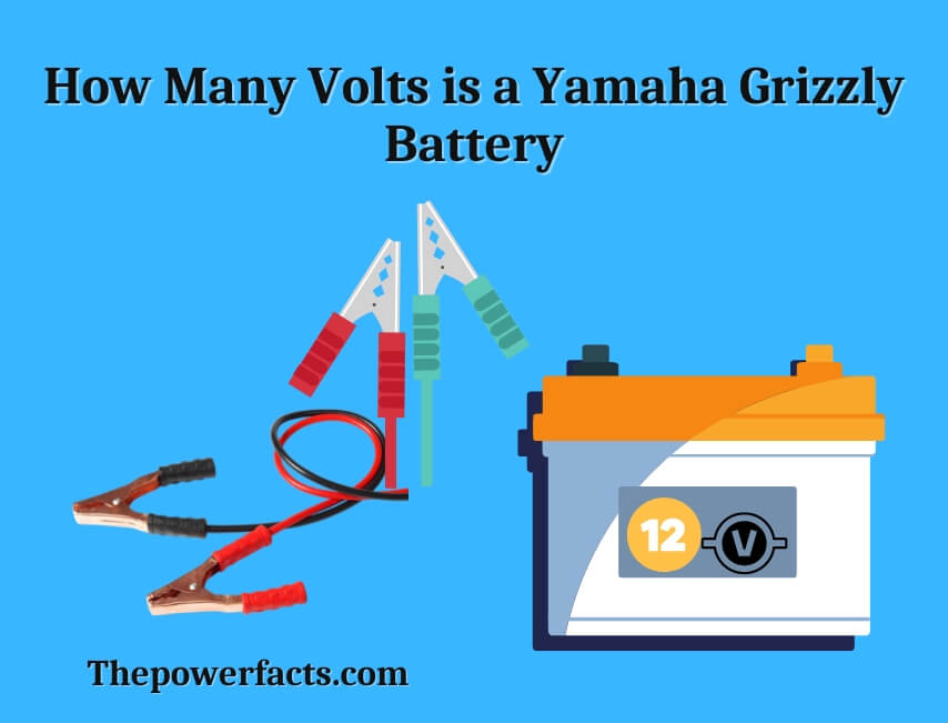 how many volts is a yamaha grizzly battery