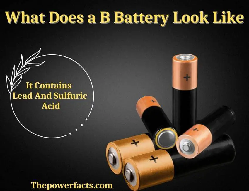 what does a b battery look like