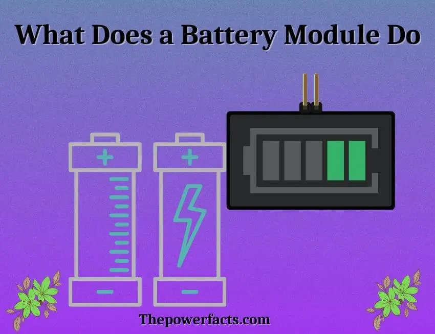 what does a battery module do