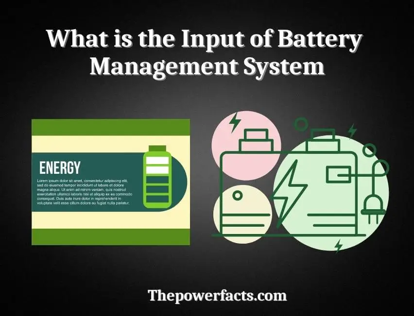 what is the input of battery management system
