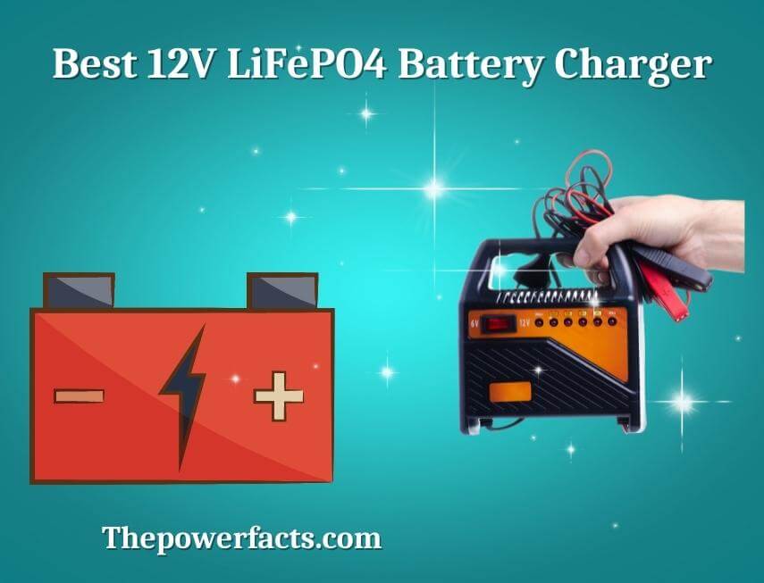 best 12v lifepo4 battery charger(1)