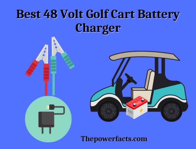 best 48 volt golf cart battery charger