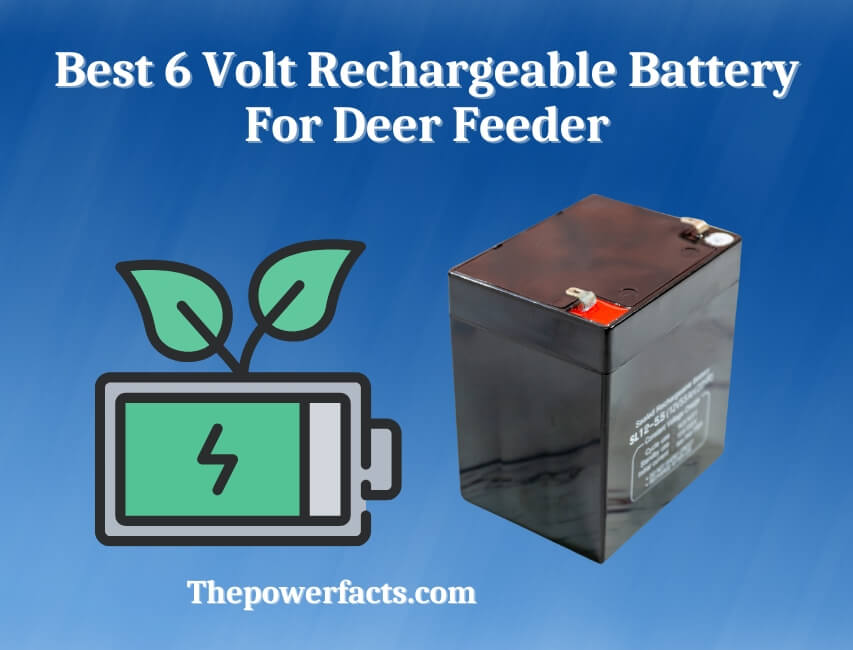 best 6 volt rechargeable battery for deer feeder