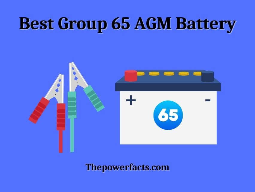 best group 65 agm battery