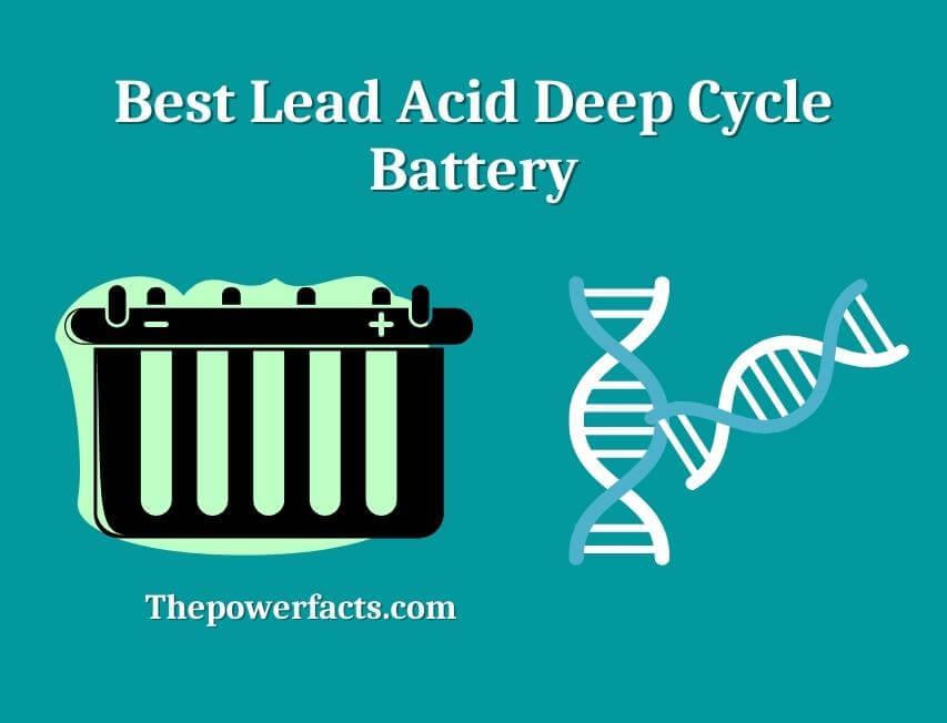 best lead acid deep cycle battery