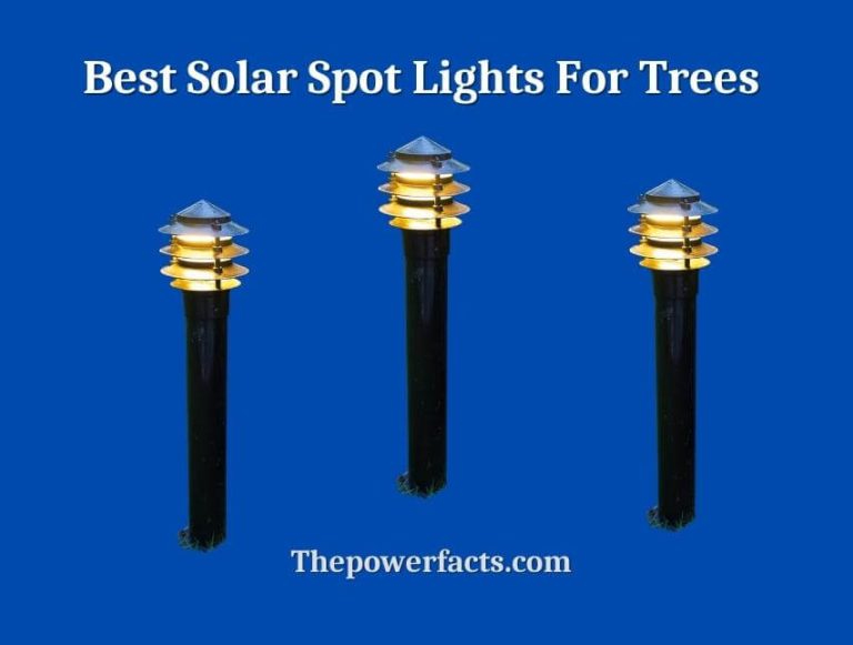 Featuring and Reviews for Top 10 Solar Spot Lights For Trees How To
