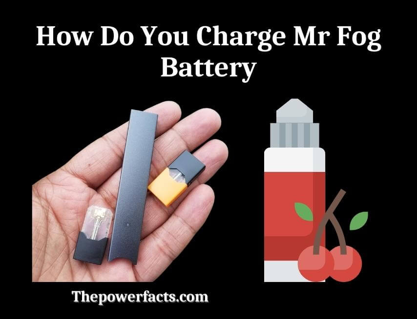 how do you charge mr fog battery