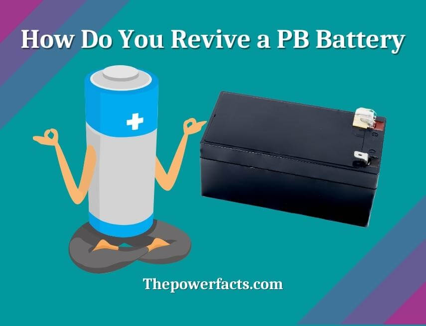 how do you revive a pb battery