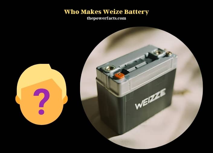who makes weize battery